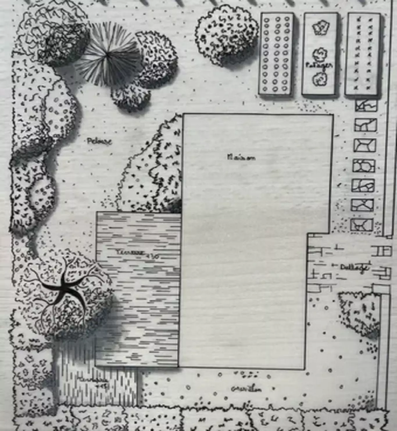 Conception de jardin près de Tours
